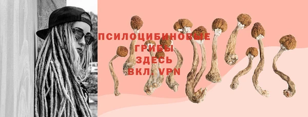 ALPHA-PVP Володарск