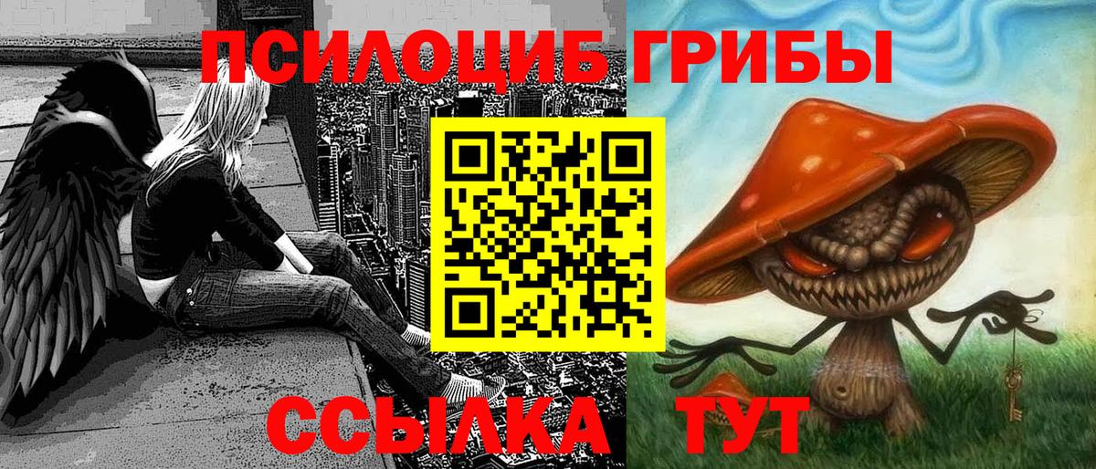 Галлюциногенные грибы прущие грибы  закладки  Борзя 