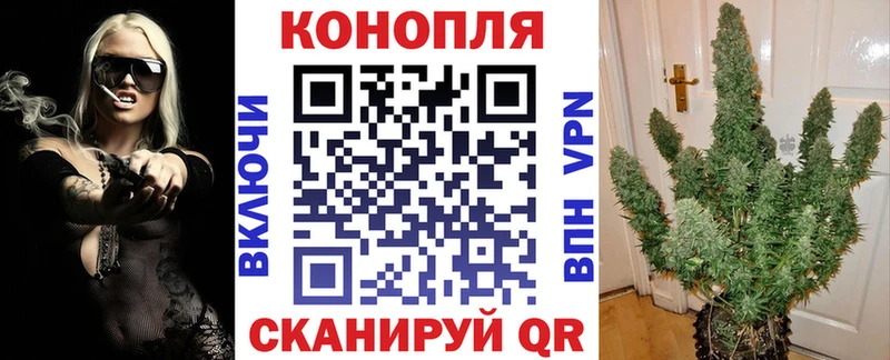 Каннабис Amnesia  Борзя 
